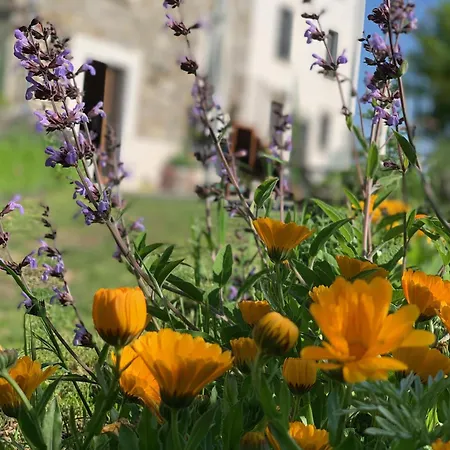 Le Spine B&B sulla Via Francigena-2